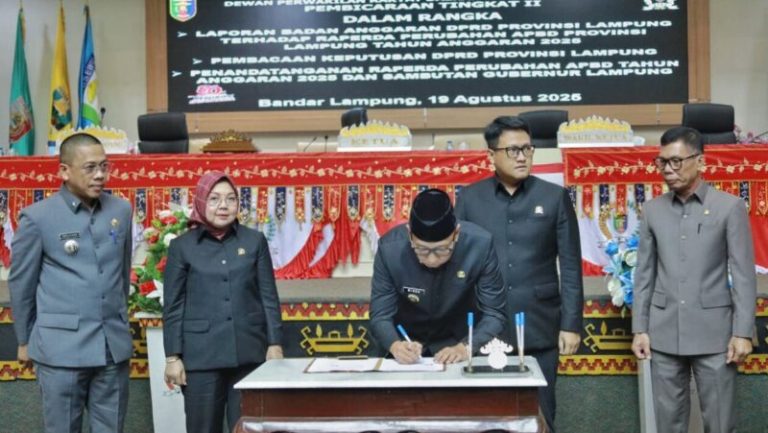 b321c88d-c664-4176-be36-81c9de34e3df-1260x710-1-800x451